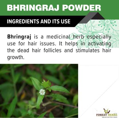 The Forest Herbs 100% Pure Bhringraj Powder For Hair Growth