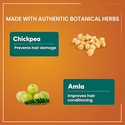 Himalaya Protein Hair Cream Controls Hair Damage & Improves Hair Conditioning With Chickpea & Amla For Women & Men