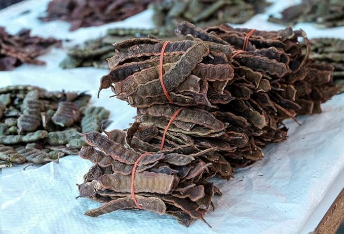 The Forest Herbs Natural Care From Nature Organic Whole Dried Amla, Reetha, Shikakai Raw Form for Hair Care Combo, Pack of 3