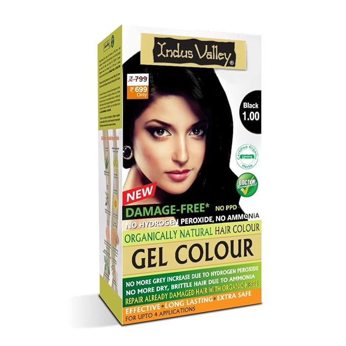 INDUS VALLEY Damage Free Natural Gel Hair Colour for Women Black 1