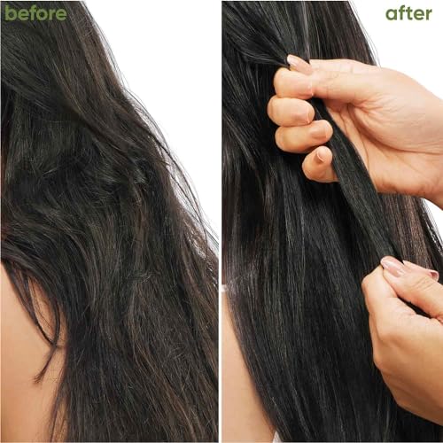 Biolage Advanced Fiberstrong Shampoo | Reinforces Strength & Elasticity For Hairfall Due To Hair Breakage