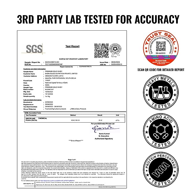 Bigmuscles Premium Gold Whey | 25g Protein | 5.5g BCAA | Zero Sugar | Muscle Recovery | Chocolate