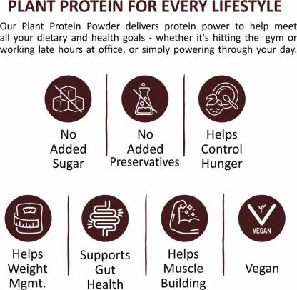 RiteBite Max Protein Plant Protein Powder | 22g Protein | Probiotic | No Added Sugar | Swiss Chocolate