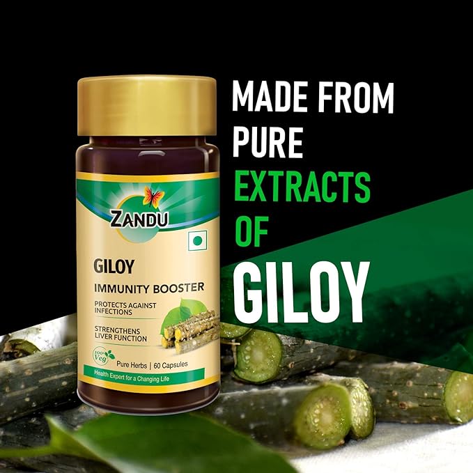Zandu Giloy Guduchi Capsules | 60 Veg Capsules | Immunity Booster | Antioxidant