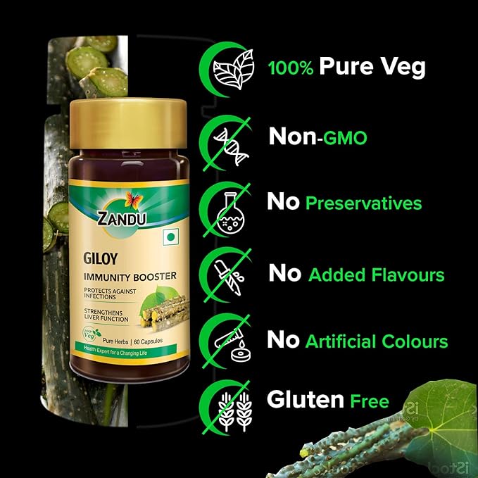Zandu Giloy Guduchi Capsules | 60 Veg Capsules | Immunity Booster | Antioxidant