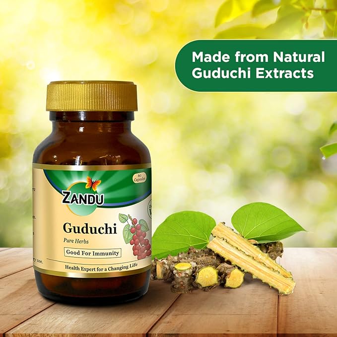 Zandu Giloy Guduchi Capsules | Immunity and Wellness | Ayurvedic