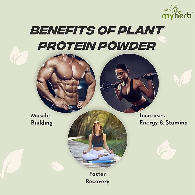 Myherb Plant Protein Powder | Pea and Brown Rice | Vegan | High Protein | Chocolate