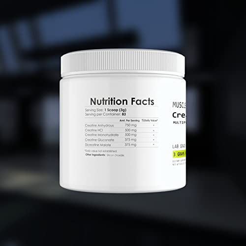 Muscle Asylum CreaGain Creatine Powder | 3g per Scoop | Muscle Growth and Recovery
