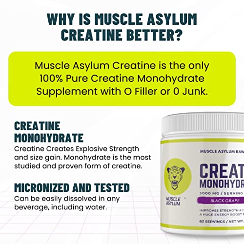 Muscle Asylum Creatine Monohydrate Powder | 50 Servings | Muscle Strength | Black Grape