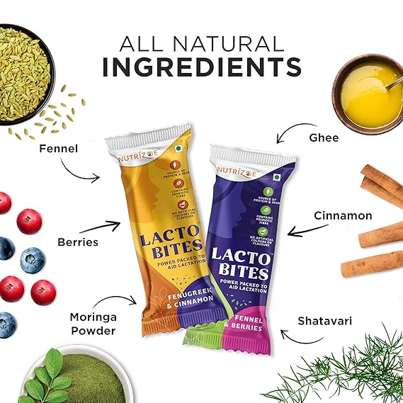 Nutrizoe Lactobites Power Packed To Aid Lactation (10 Bars)