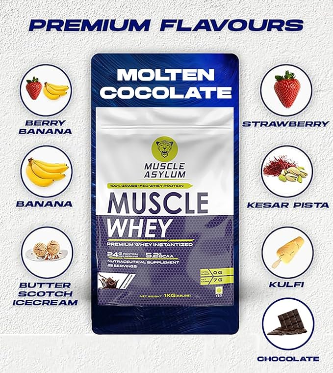 Muscle Asylum Premium Whey Protein | 24g Protein | 5.2g BCAA | Lean Muscle | Molten Chocolate