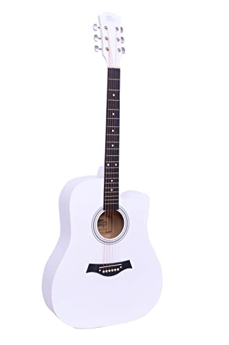 Intern INT-P41C Acoustic Guitar | Meranti and Rosewood | White | Beginners and Professionals