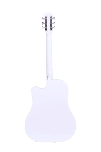 Intern INT-P41C Acoustic Guitar | Meranti and Rosewood | White | Beginners and Professionals
