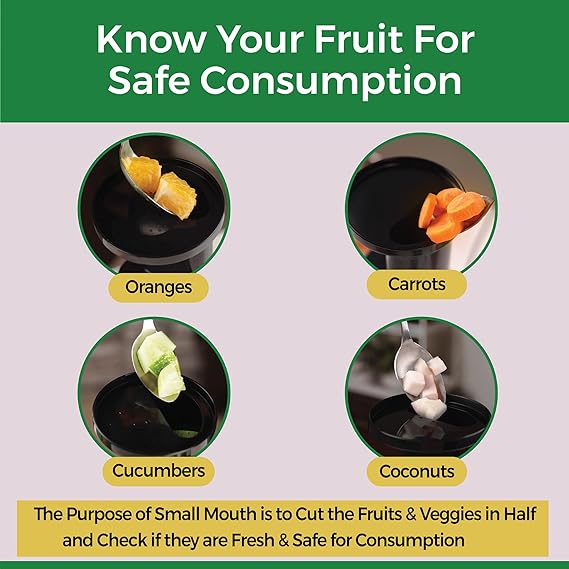 Balzano Cold Press Juicer