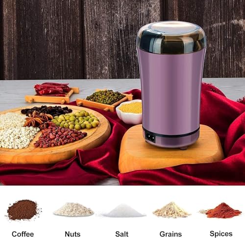 Gopinathji Electric Dried Spice and Coffee Grinder zenstore Grinder