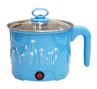 Theodore Electric 1.8L Mini Cooker Kettle with Glass Lid Base