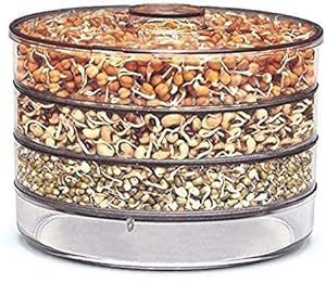 Rylan Sprout Maker with 4 Compartments Containers Set