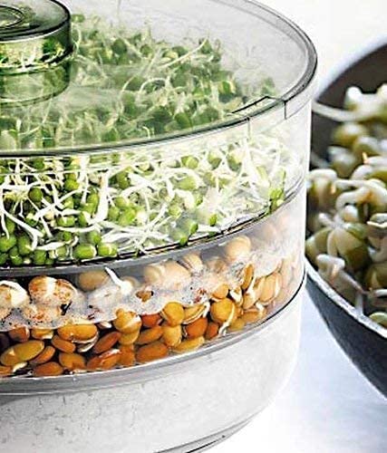 Rylan Sprout Maker with 4 Compartments Containers Set