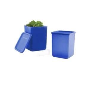 Tupperware Cubix Large (Set of 2)