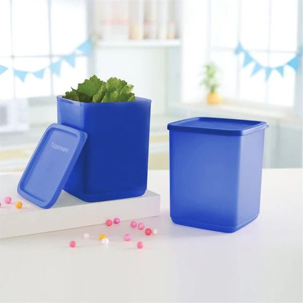 Tupperware Cubix Large (Set of 2)