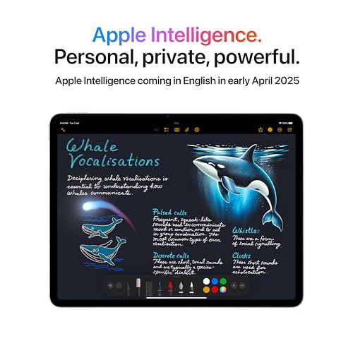 Apple Ipad Air 13Inch With M3 Chip: Built For Apple Intelligence | Liquid Retina Display | 256Gb | 12Mp Front/Back Camera | Wi-Fi 6E + 5G Cellular | Touch Id |
