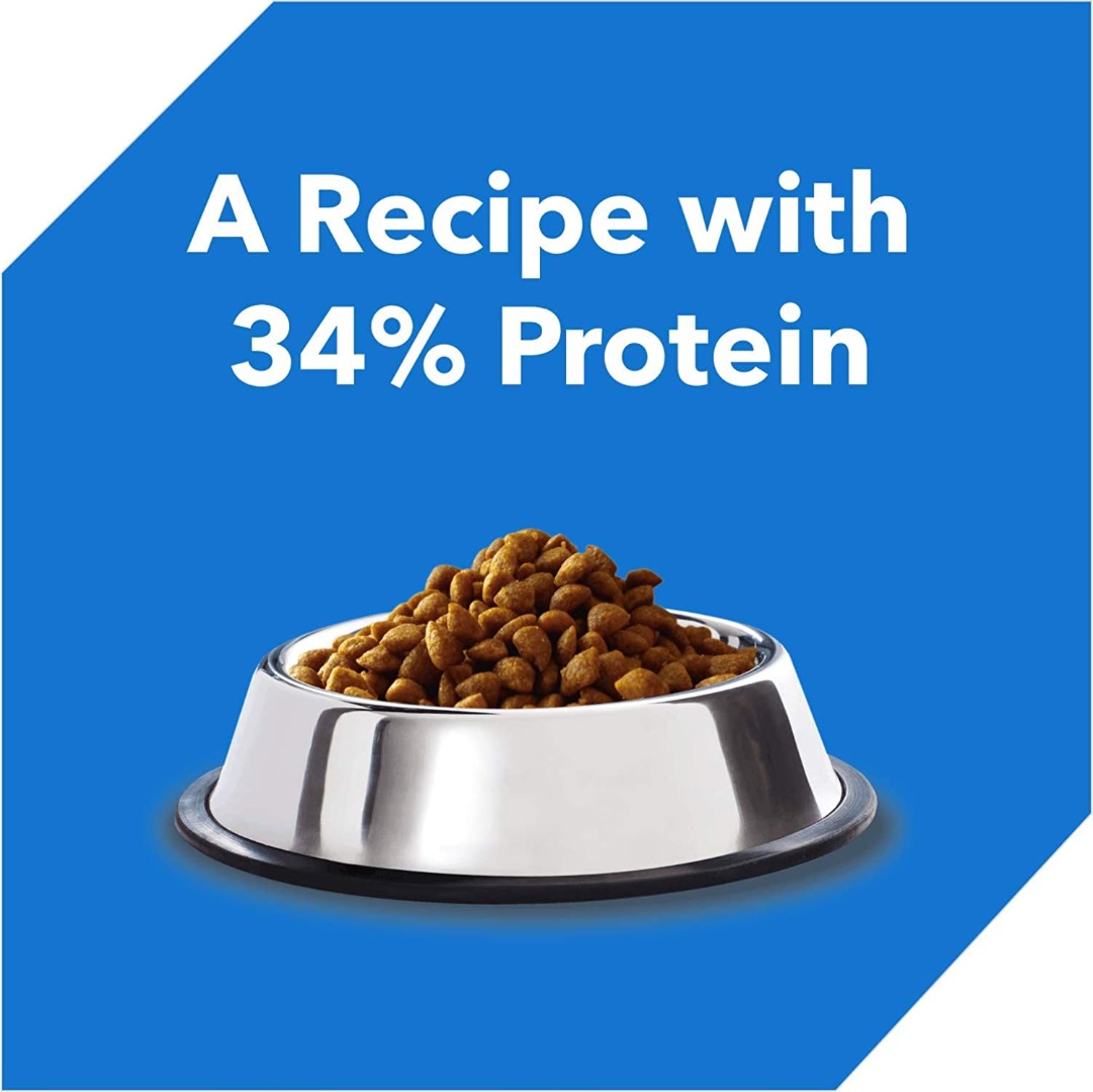 Drools Kitten(1-12 months) Dry Cat Food- Ocean Fish - 4Kg (3Kg + 1Kg Free Food Inside)