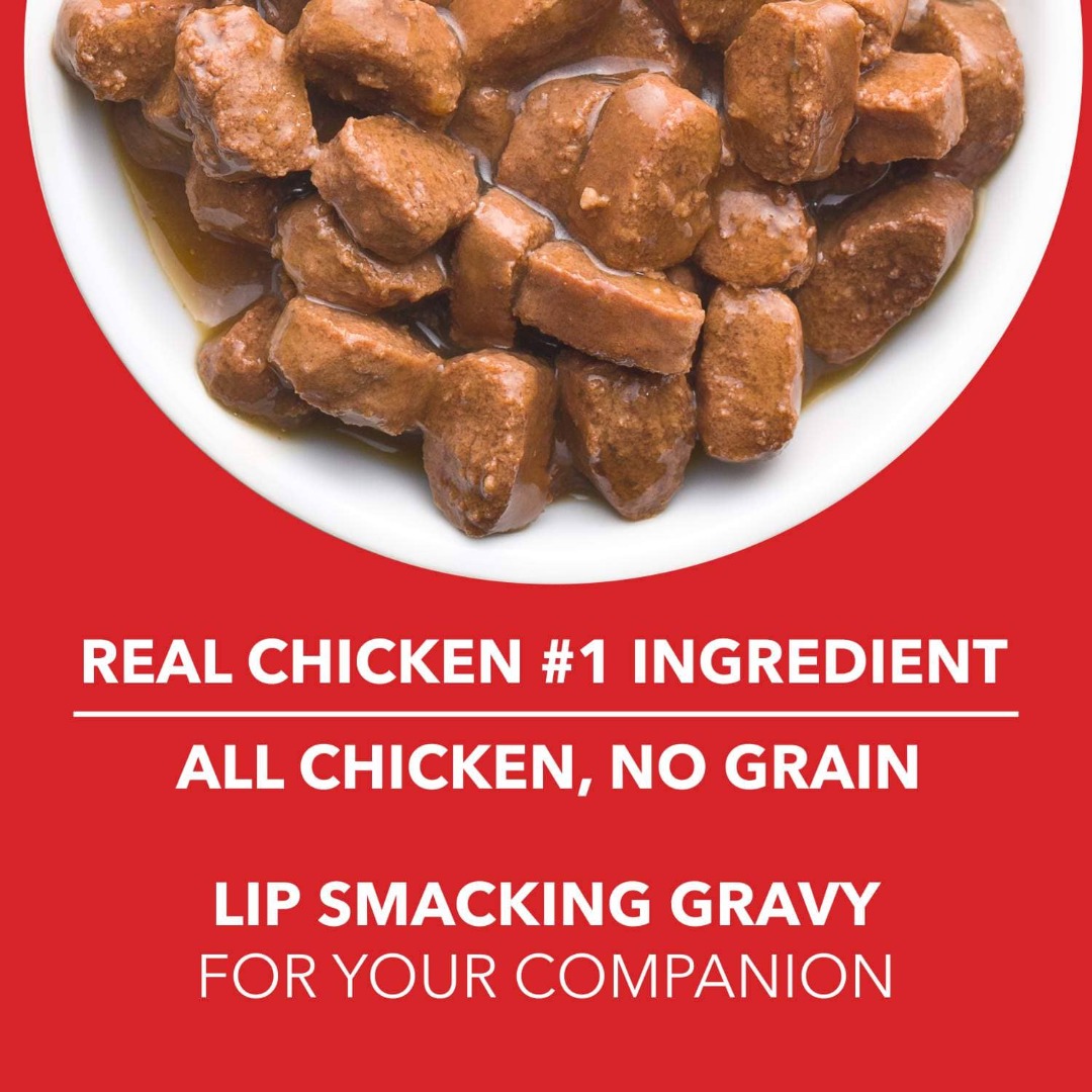 Drools Puppy Wet Dog Food- Real Chicken and Chicken Liver Chunks in Gravy- 24 Pouches (24 x 150g)