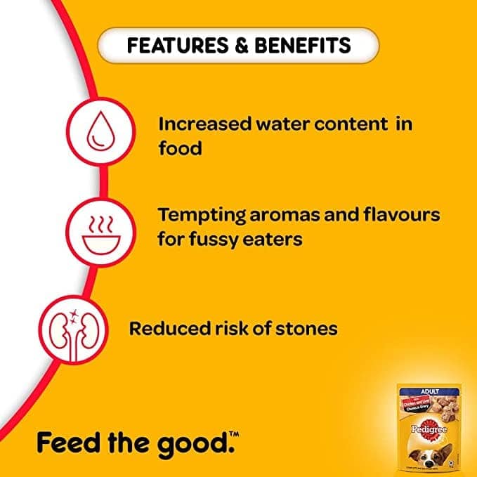 Pedigree Wet Food for Adult Dogs- Chicken & Liver Chunks in Gravy Flavour, (1 x 70g)