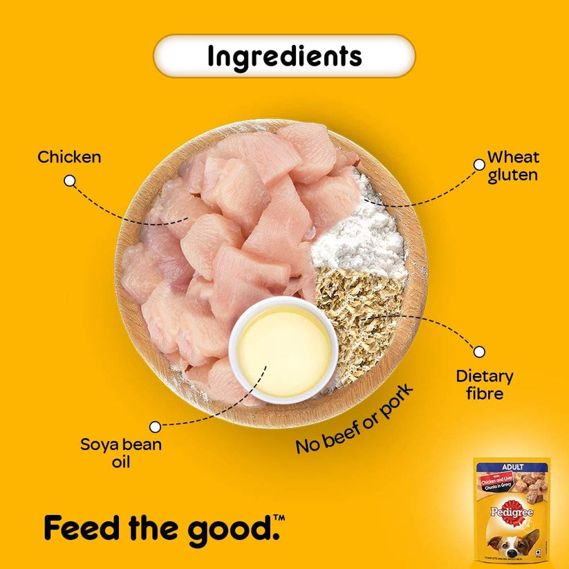 Pedigree Wet Food for Adult Dogs- Chicken & Liver Chunks in Gravy Flavour, (1 x 70g)