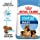 Royal Canin Baby Pellet Dog Food Maxi Starter- Meat Flavour