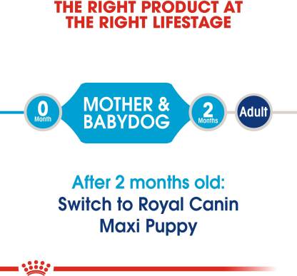 Royal Canin Maxi Starter Pellet Dog Food- Meat Flavor