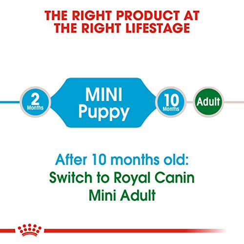 Royal Canin Mini Puppy Dry Dog Food- Meat Flavour