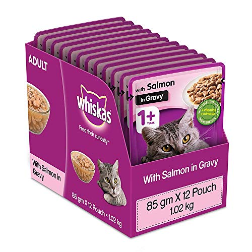 Whiskas Wet Cat Food | For Adult | Salmon Flavour | Hydrating Tasty Meal for Cats