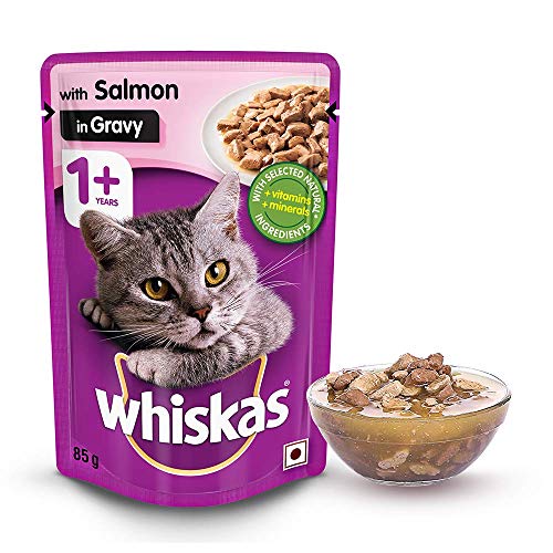 Whiskas Wet Cat Food | For Adult | Salmon Flavour | Hydrating Tasty Meal for Cats