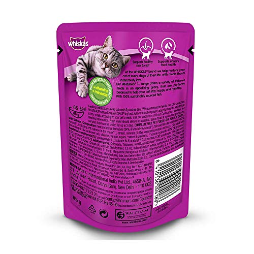 Whiskas Wet Cat Food | For Adult | Salmon Flavour | Hydrating Tasty Meal for Cats