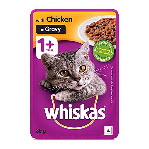 Whiskas Wet Food for Adult Cats- Chicken in Gravy Flavour- 48 Pouches (48 x 85gm)