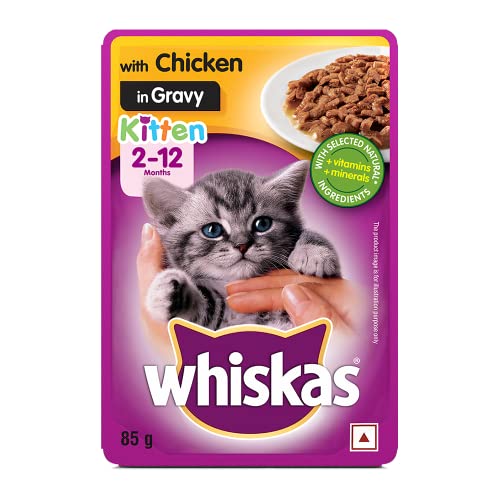 Whiskas Wet Food for Kittens (2-12 Months)  Chicken in Gravy Flavour  1 pouches (1 x 85gm)
