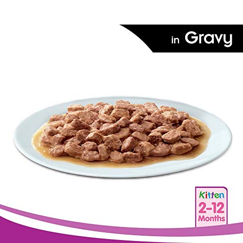 Whiskas Wet Food for Kittens (2-12 Months)  Chicken in Gravy Flavour  48 pouches (48 x 85gm)