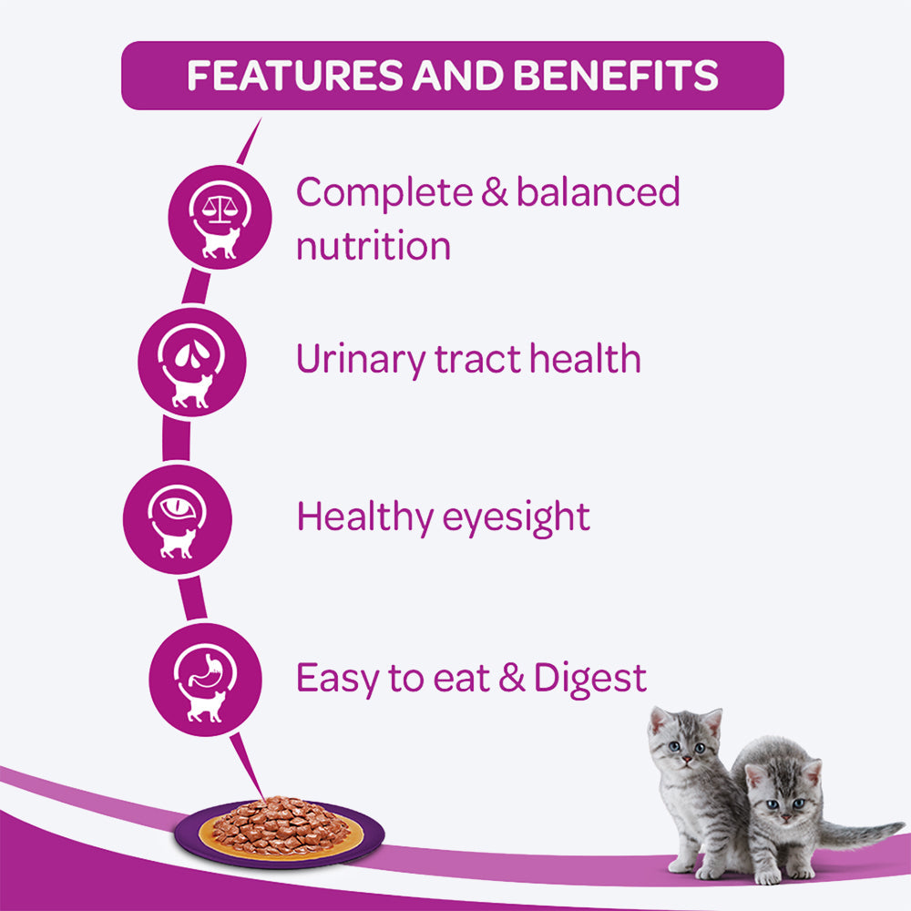Whiskas Wet Food for Kittens (2-12 Months)  Chicken in Gravy Flavour  96 pouches (96 x 85gm)