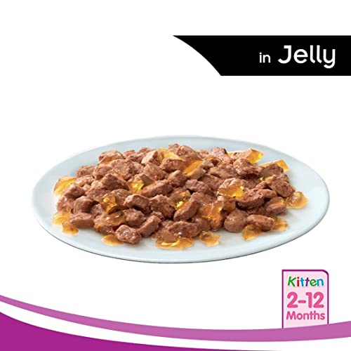 Whiskas Wet Food for Kittens (2-12 Months)- Tuna in Jelly Flavour- 1 pouches (1 x 85gm)