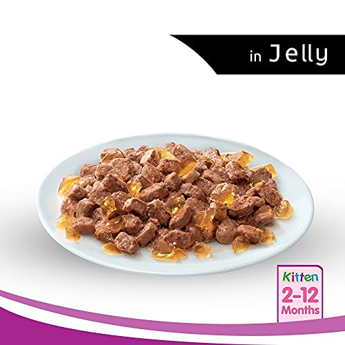 Whiskas Wet Food for Kittens (2-12 Months)- Tuna in Jelly Flavour- 48 pouches (48 x 85gm)