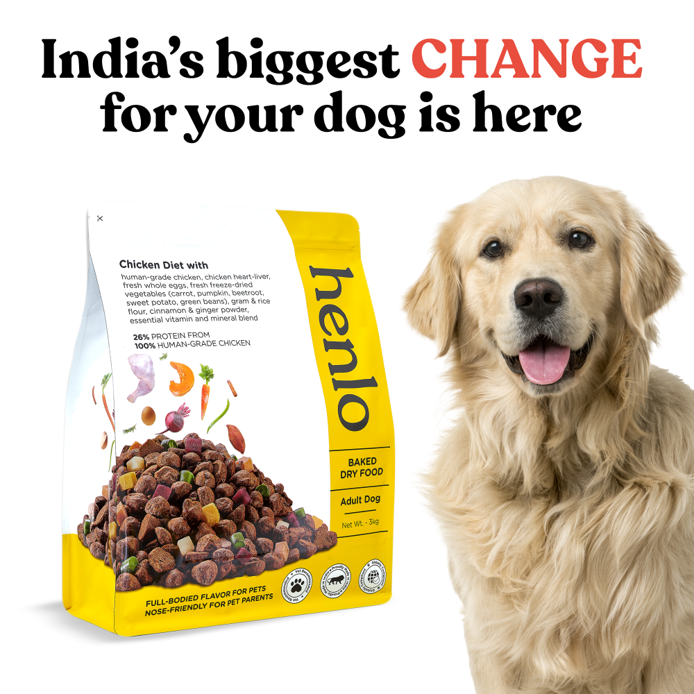 Henlo Baked Dry Food for Adult Dogs 100% human-grade ingredients Chicken Flavour
