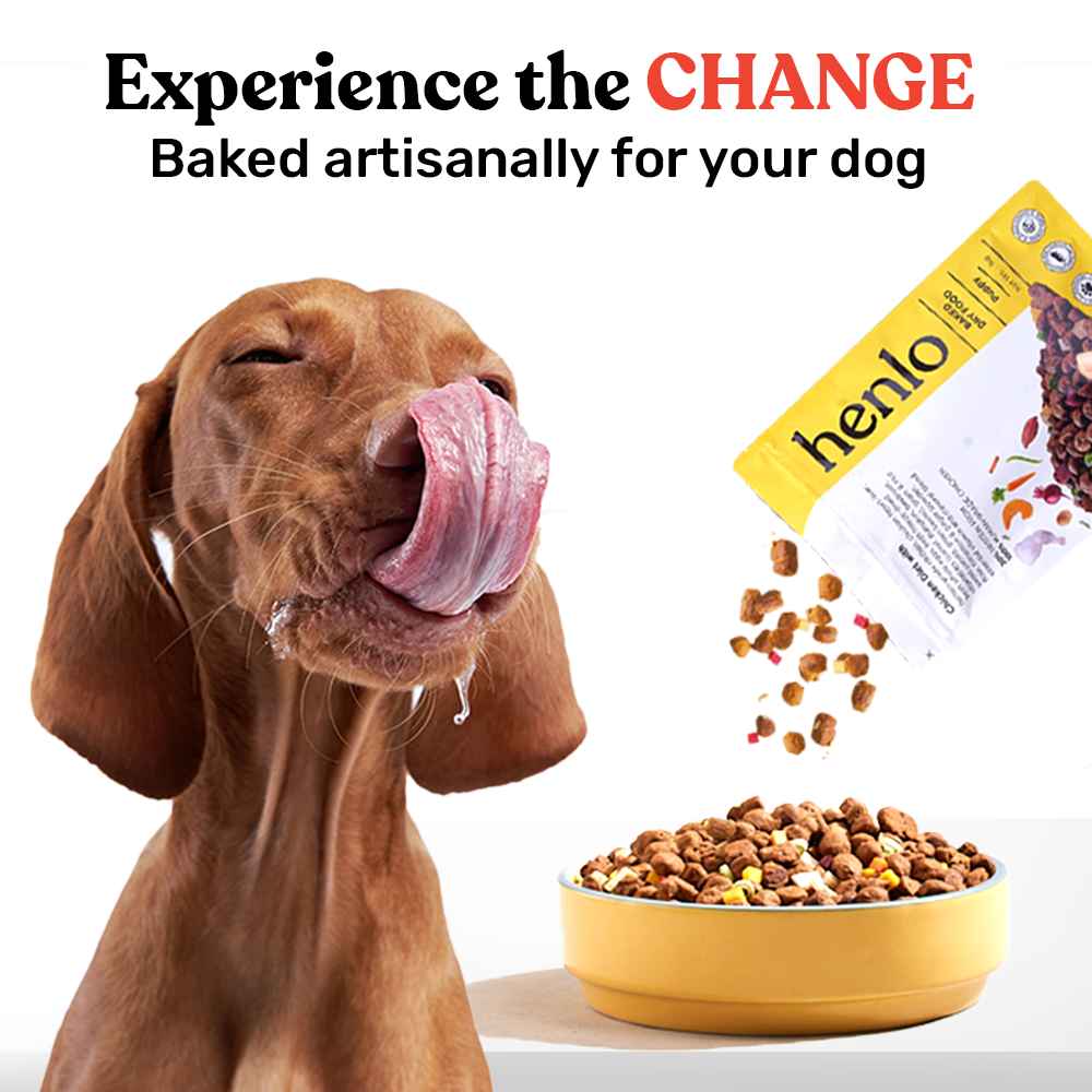 Henlo Baked Dry Food for Adult Dogs 100% human-grade ingredients Chicken Flavour