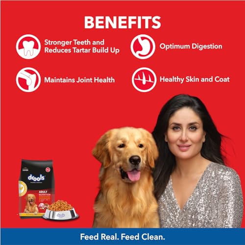 Drools Dry Dog Food Adult, Chicken and Egg Flavor
