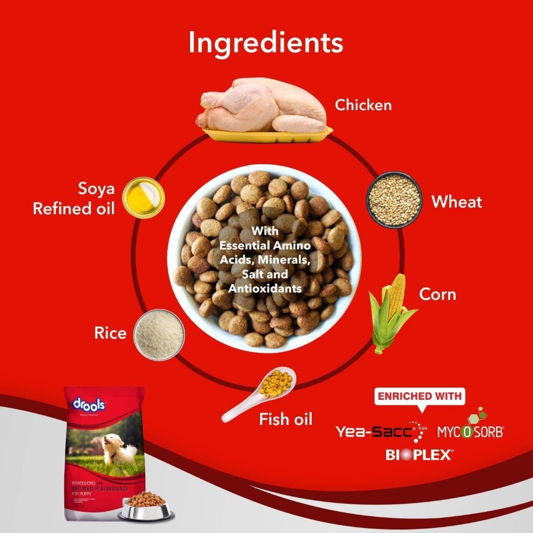Drools Dry Dog Food | For Puppy | Complete & Balanced Daily Nutrition