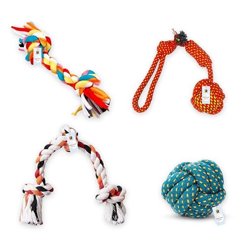 Foodie Puppies Dog Rope Combo Of 4 Chewing Teething Fetching Durable Toys For Puppies