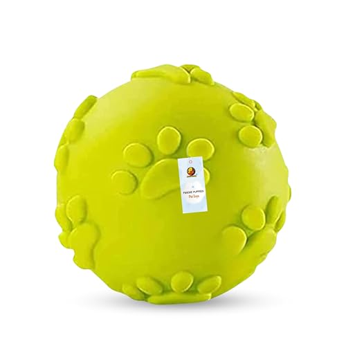 Foodie Puppies Latex Rubber Squeaky Dog Chew Ball Toy