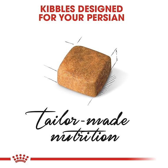 Royal Canin Persian Kitten Dry Cat Food, Chicken