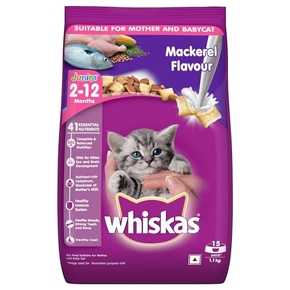 Whiskas Kitten (2-12 months) Dry Cat Food, Mackerel Flavour