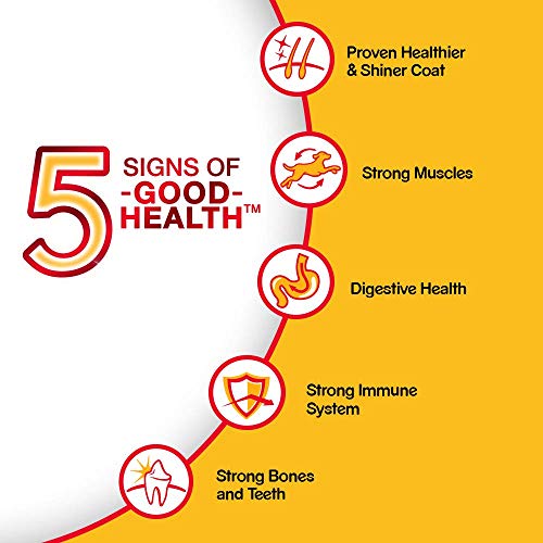 Pedigree Puppy Dry Dog Food